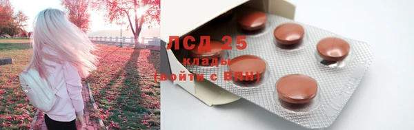 стаф Балахна