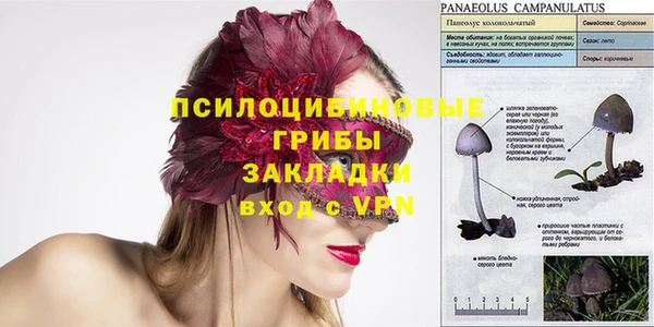 стаф Балахна