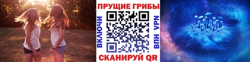 Галлюциногенные грибы Psilocybine cubensis  блэк спрут сайт  Пыть-Ях  где продают  